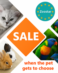 Collection image for: Månadens kampanjer