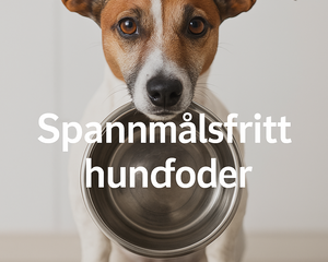 Collection image for: Spannmålsfritt hundfoder