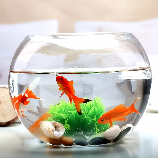 Akvarier & Fisktankar