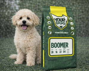 Collection image for: Boomer