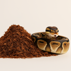 Collection image for: Bottenströ för Reptiler