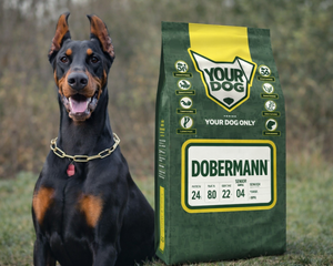Collection image for: Dobermann