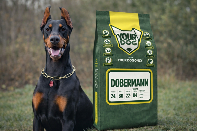 Dobermann