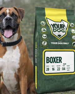 Collection image for: Boxer