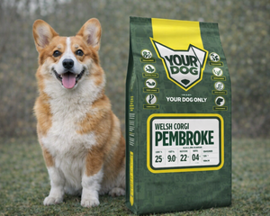 Collection image for: Pembroke Welsh Corgi