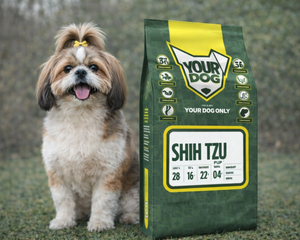 Collection image for: Shih Tzu