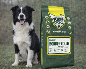 Collection image for: Border Collie