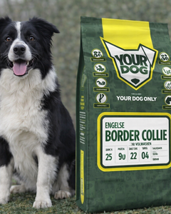 Collection image for: Border Collie