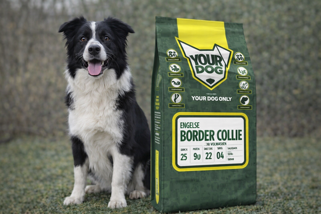 Border Collie