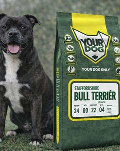 Collection image for: Staffordshire Bullterrier