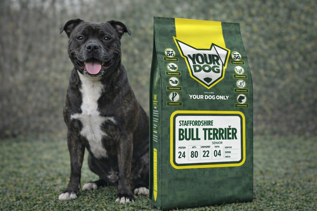 Staffordshire Bullterrier