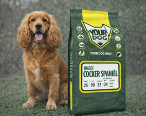 Collection image for: Engelsk Cocker Spaniel