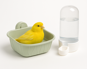 Collection image for: Fågelbad & Vattenautomater