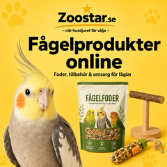 Collection image for: Fågelprodukter online