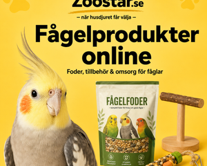 Collection image for: Fågelprodukter online