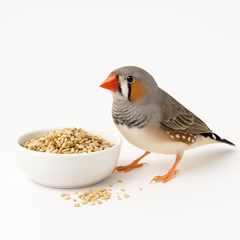 Collection image for: Finkfoder