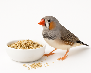 Collection image for: Finkfoder