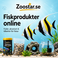 Collection image for: Fiskprodukter online