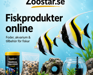 Collection image for: Fiskprodukter online