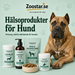 Hälsoprodukter för Hund – Stöd för mage, leder, lugn och immunförsvar