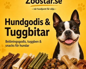 Collection image for: Hundgodis & Tuggbitar