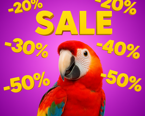 Collection image for: Kampanjer för fågel