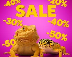 Collection image for: Kampanjer för reptil