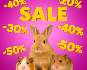 Collection image for: Kampanjer för smådjur