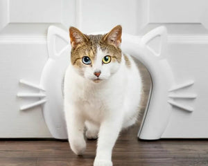 Kattluckor & Kattdörrar
