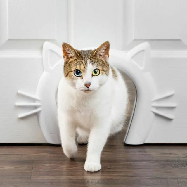 Kattluckor & Kattdörrar