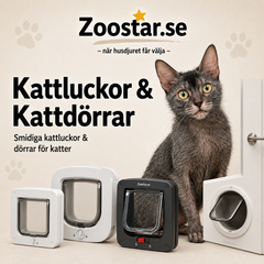 Kattluckor & Kattdörrar för Katt