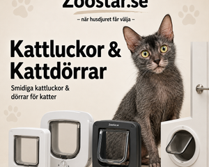 Kattluckor & Kattdörrar för Katt