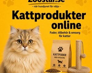 Kattprodukter online 