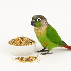 Collection image for: Parakitfoder