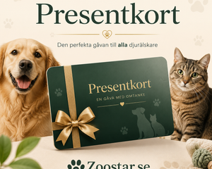 Collection image for: Presentkort
