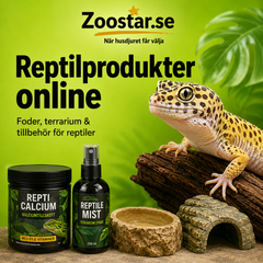 Collection image for: Reptilprodukter online