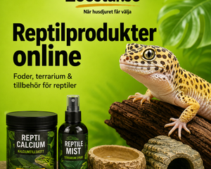Collection image for: Reptilprodukter online