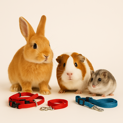 Collection image for: Selar, Koppel & Halsband för Smådjur