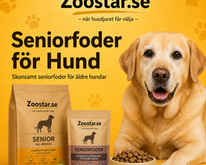Seniorfoder för Hund – foder för äldre hundars behov