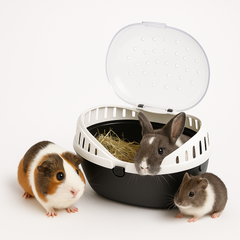 Collection image for: Smådjursväskor & Transportburar