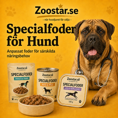 Collection image for: Specialfoder för Hund