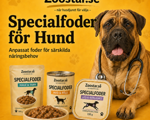 Collection image for: Specialfoder för Hund