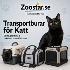 Collection image for: Transport & Burar för Katt