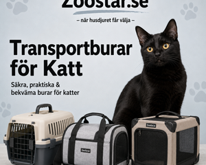 Collection image for: Transport & Burar för Katt