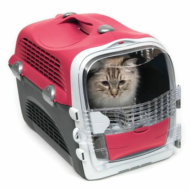Transport & Burar för Katt