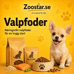 Valpfoder – foder för valpens tillväxt och utveckling
