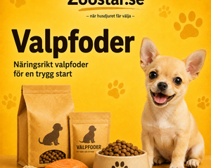 Valpfoder – foder för valpens tillväxt och utveckling
