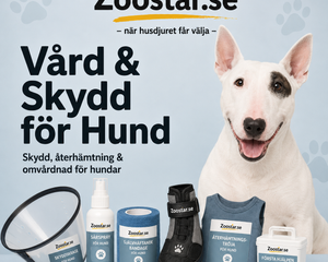 Vård & Skydd för Hund – produkter för omsorg, återhämtning och första hjälpen