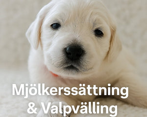 Collection image for: Mjölkersättning & Valpvälling