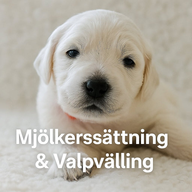 Mjölkersättning & Valpvälling